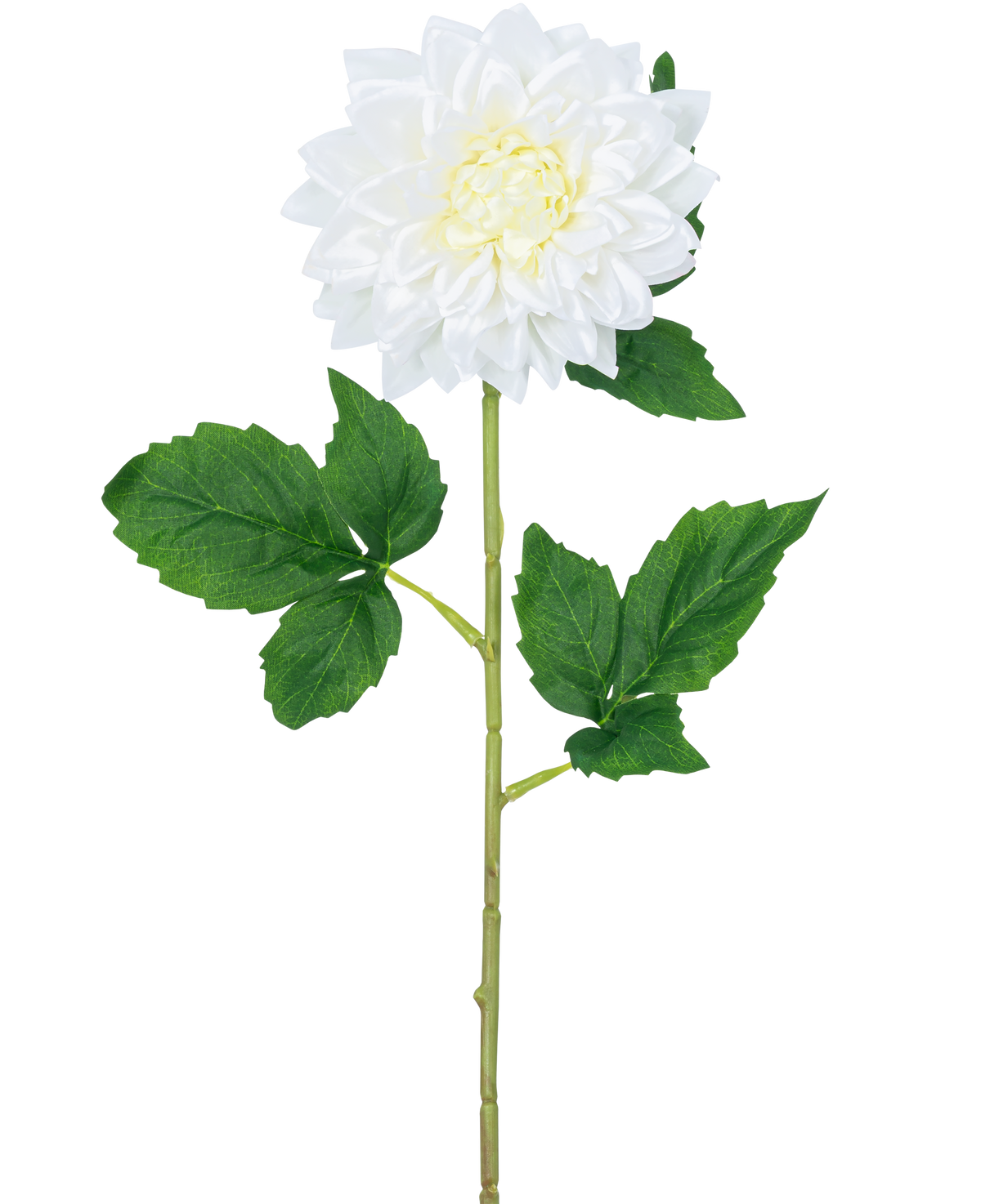 La Flor Artificial Dalia Real Touch blanca de 54 cm tiene un único tallo de dalia blanca con un corazón amarillo y hojas verdes, sobre un fondo blanco liso.