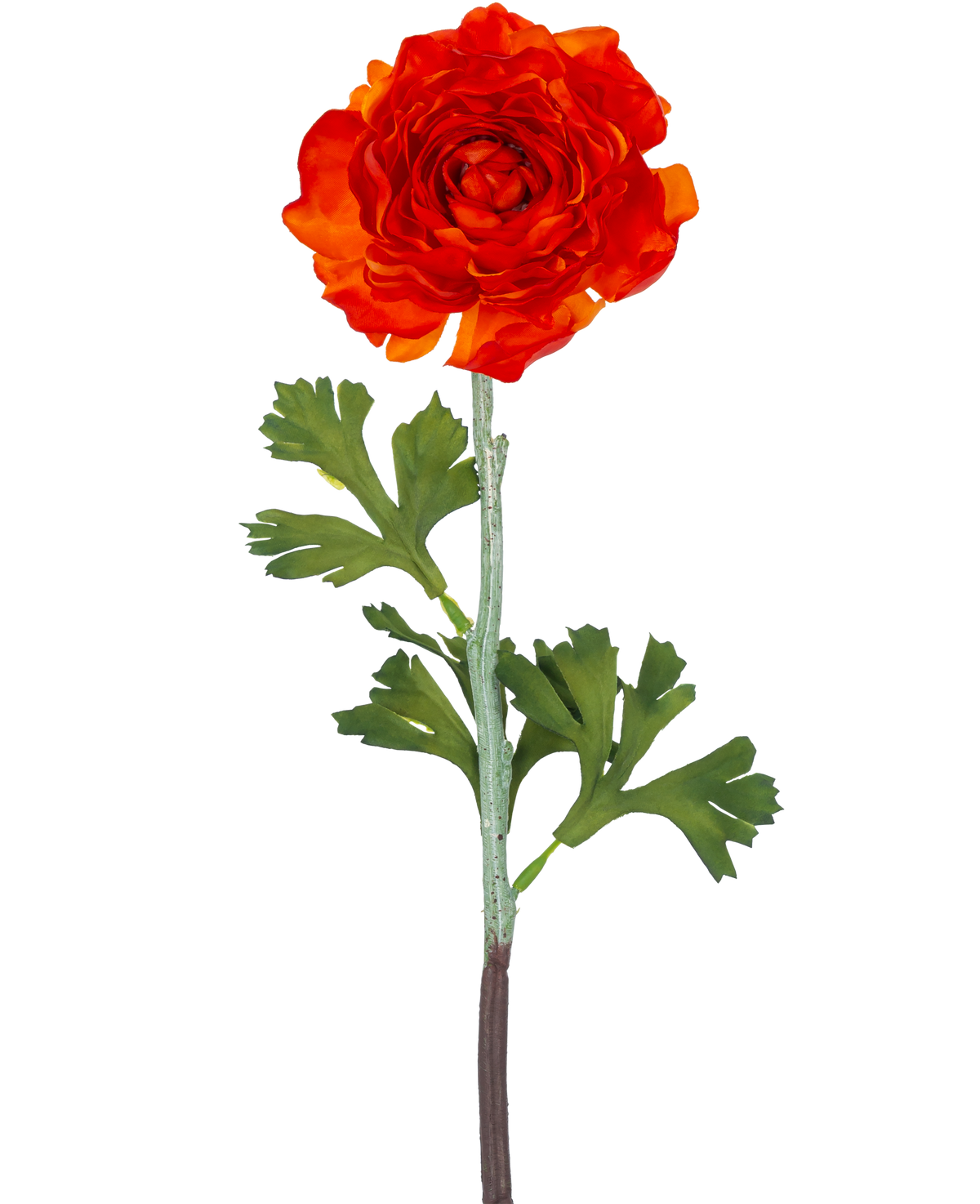 La flor artificial Ranunculus de 51 cm de color naranja oscuro tiene una vibrante flor de ranúnculo artificial de color naranja oscuro con pétalos en capas y hojas verdes lobuladas sobre un tallo largo, sobre un fondo blanco liso.