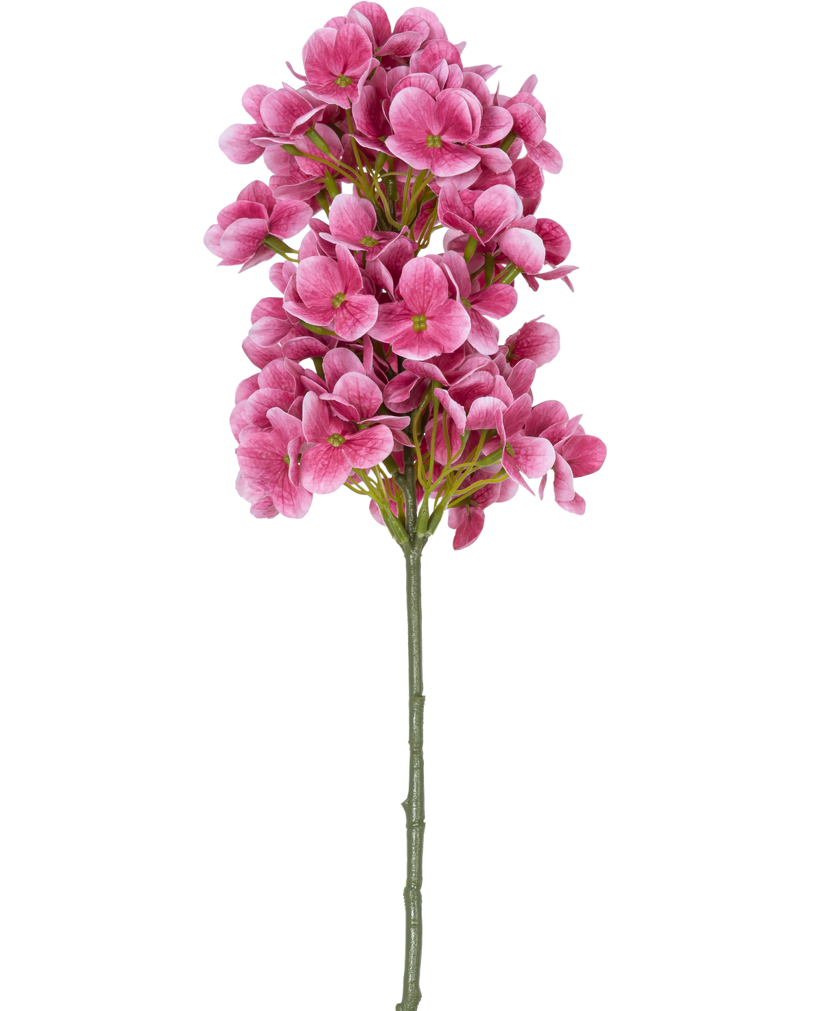 Un solo tallo de la Flor Artificial Bola de Nieve Real Touch Rosa 58 cm, con racimos de flores artificiales tipo hortensias de color rosa brillante con un corazón verde, aisladas sobre un fondo blanco.