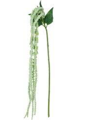 Ramo de flor artificial Amaranto 124 cm verde