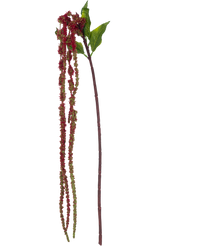 Ramo de flor artificial Amaranto 122 cm rojo vino