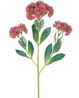 Een digitale illustratie van de Kunsttak Sedum 48 cm rood toont een bloeiende plant met groene bladeren en trossen kleine, roze-paarse bloemen op vertakte stengels, tegen een witte achtergrond.
