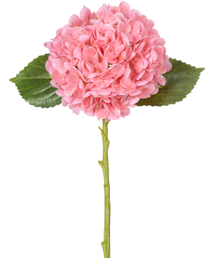 De Kunstbloem Charlotte hortensia Real Touch Roze 49 cm heeft een enkele roze hortensia met dichte, ronde trossen bloemblaadjes, twee groene bladeren en een lange groene steel op een witte achtergrond.