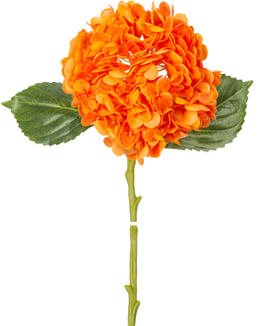 De Kunstbloem Charlotte hortensia Real Touch oranje 49 cm heeft een oranje hortensiabloem met realistische bloemblaadjes, groene bladeren en een lange steel, geïsoleerd op een witte achtergrond.