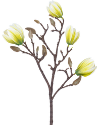 Ramo de flor artificial Magnolia 50 cm blanco/verde