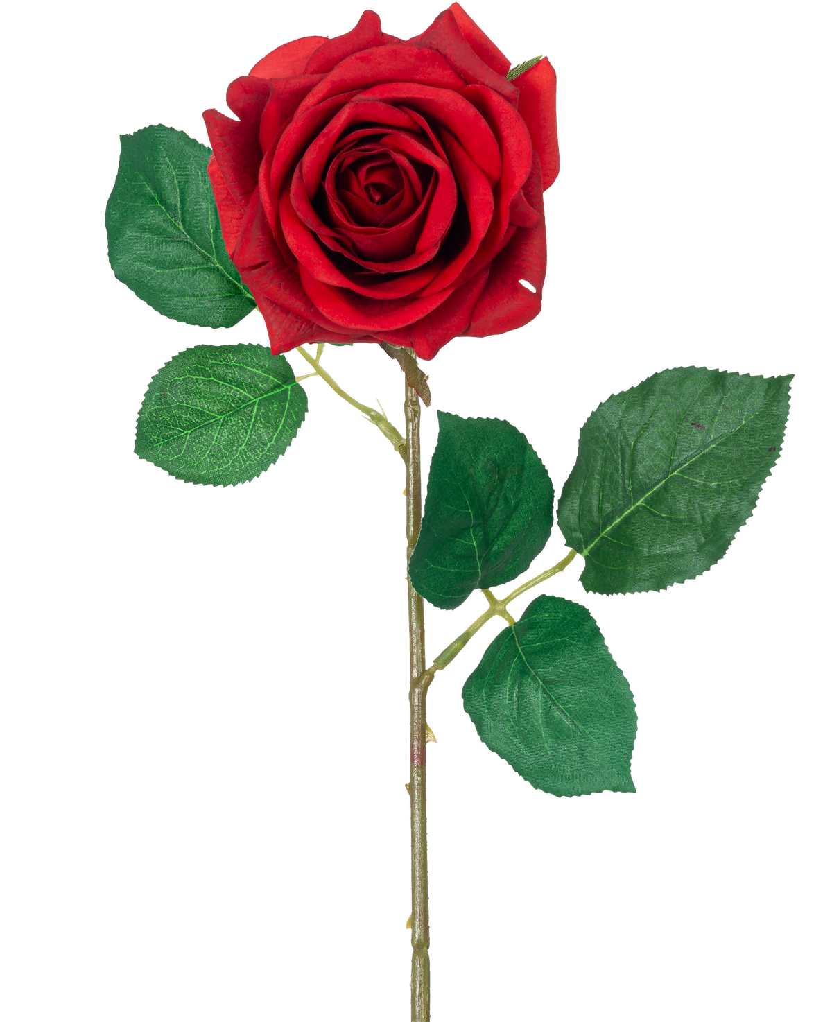 La Rosa Artificial "Emine" Real Touch Roja de 43 cm tiene una única rosa roja con hojas de un verde vibrante en un tallo largo, sobre un fondo blanco liso.