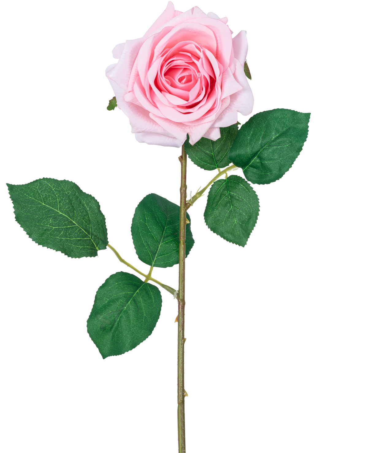 La Rosa Artificial "Emine" Real Touch Pink 43cm es una única rosa artificial de color rosa claro con pétalos en capas, hojas verdes y un tallo largo, sobre un fondo blanco.