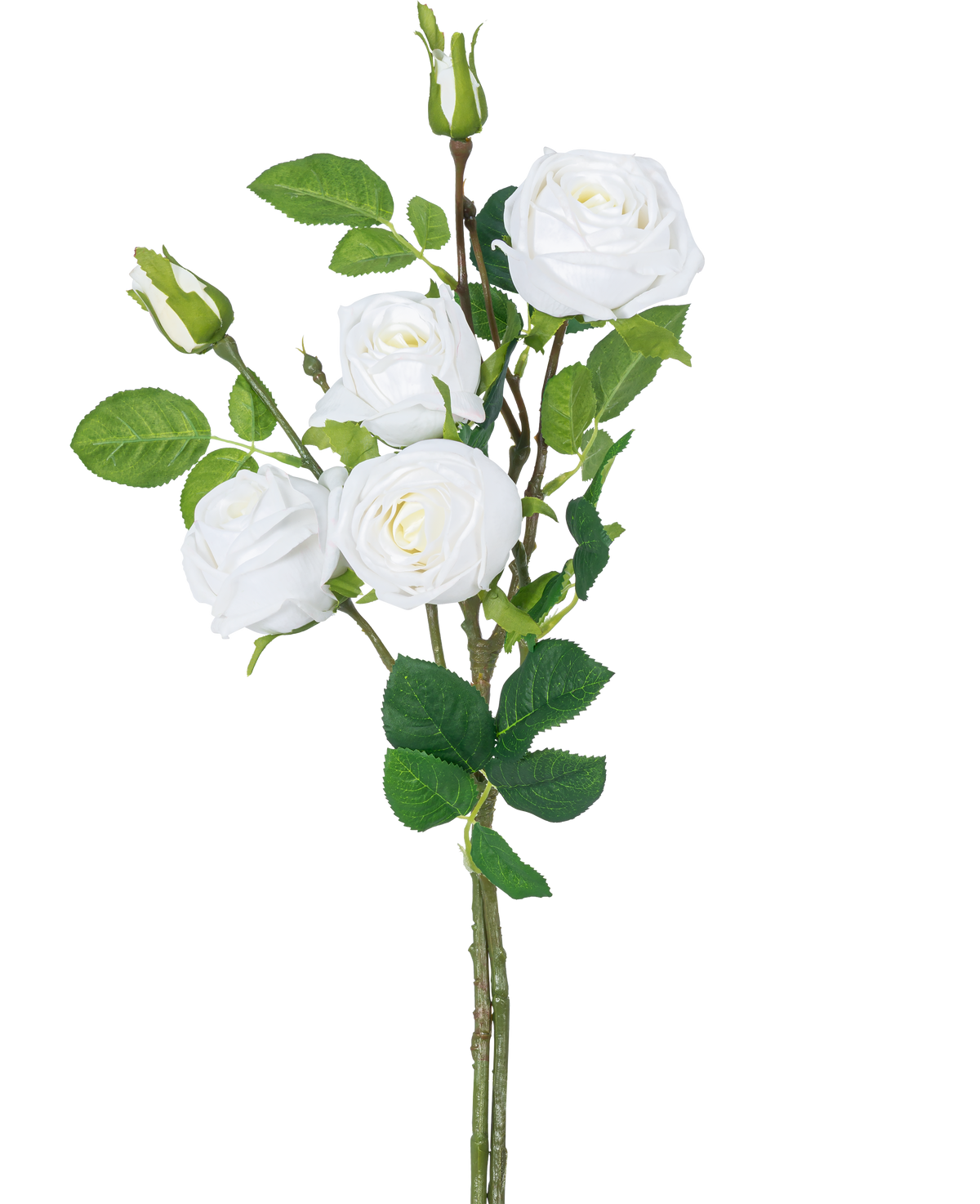 La rama de rosa artificial doble Real Touch blanca de 80 cm tiene un tallo con tres rosas artificiales blancas en flor, hojas verdes y capullos de rosa sobre un fondo blanco liso.