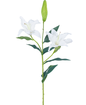 De Kunstbloem Lelie Real Touch wit 95 cm heeft een enkele groene steel met twee open witte leliebloemen, donkergroene bladeren en een gesloten knop, tegen een effen witte achtergrond.