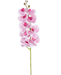 Orquídea artificial Tacto real Deluxe 105 cm fucsia/blanco