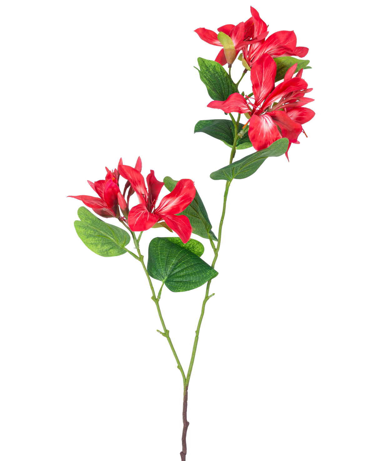 La Flor Artificial Rododendro 85 cm rojo claro es un tallo artificial con hojas verdes y dos ramos de flores de color rojo claro y blanco sobre un fondo blanco.