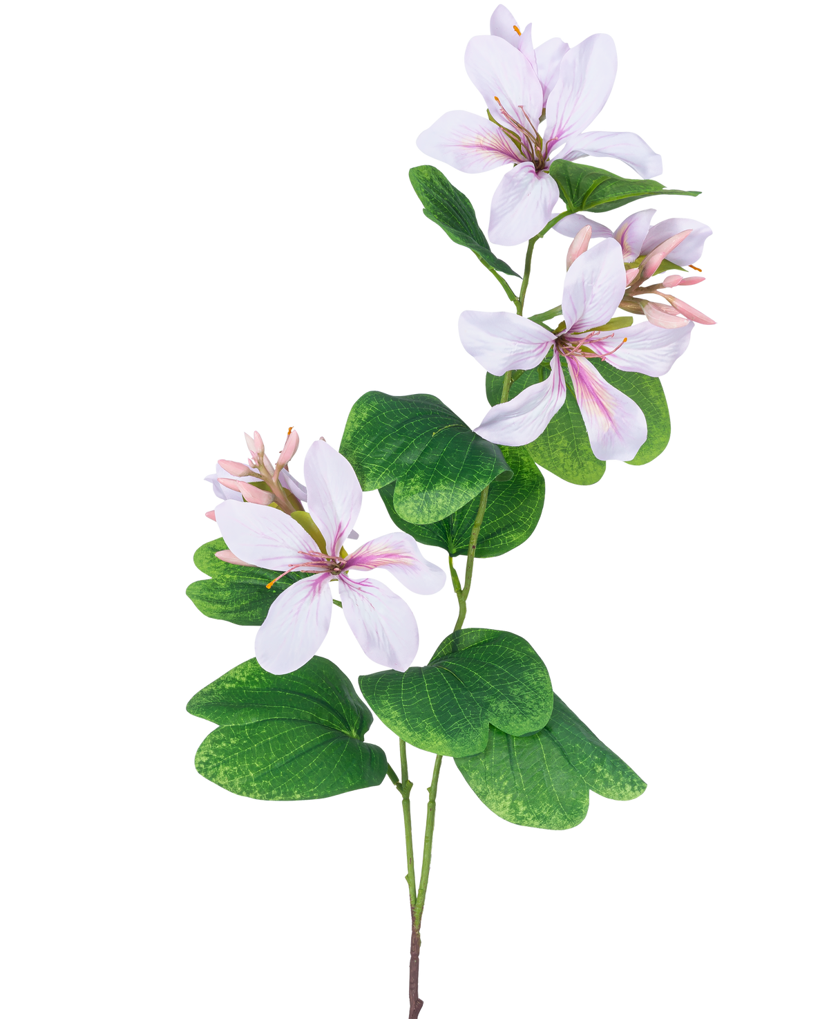La flor artificial Rododendro 85 cm rosa claro tiene un esbelto tallo verde con racimos de grandes flores blancas con corazones y venas de color rosa claro, acentuadas por amplias hojas verdes, sobre un fondo blanco.