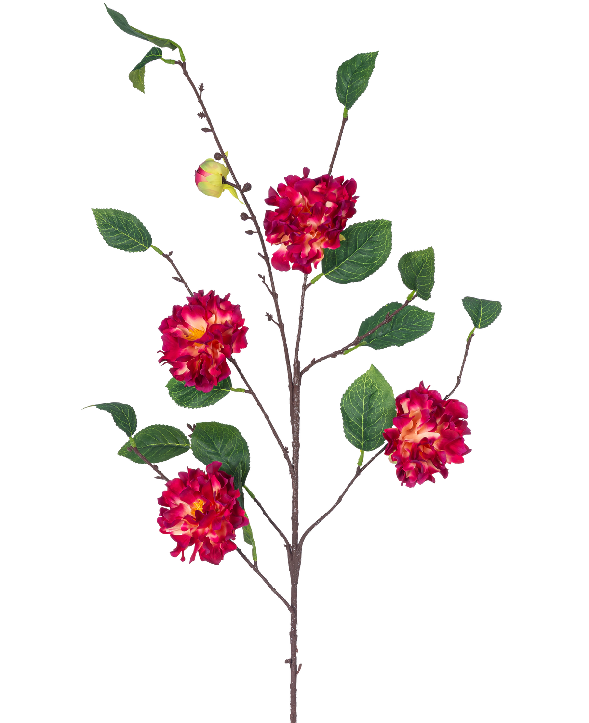 La flor artificial Camelia japonesa de 95 cm rojo vino tiene una rama marrón con hojas verdes, racimos de vibrantes flores de color rojo vino y amarillo y un pequeño capullo cerrado, todo ello sobre un fondo blanco.