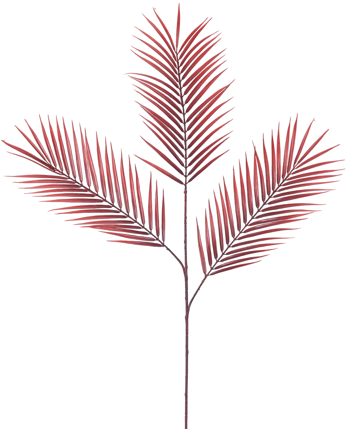 El helecho artificial rojo de 100 cm tiene cinco hojas de palma rojas, largas y estrechas, que se extienden de un solo tallo sobre un fondo blanco liso.