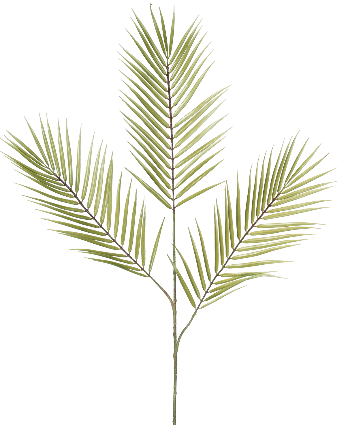 El Helecho Rama Artificial 100 cm verde tiene una única rama de helecho artificial verde con cinco hojas largas, estrechas y puntiagudas que sobresalen de un tallo central, sobre un fondo blanco.