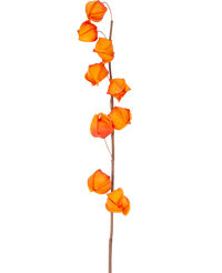 Ramo de flor artificial Physalis Lampion 90 cm naranja