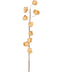 Ramo de flor artificial Physalis lampion 90 cm marrón