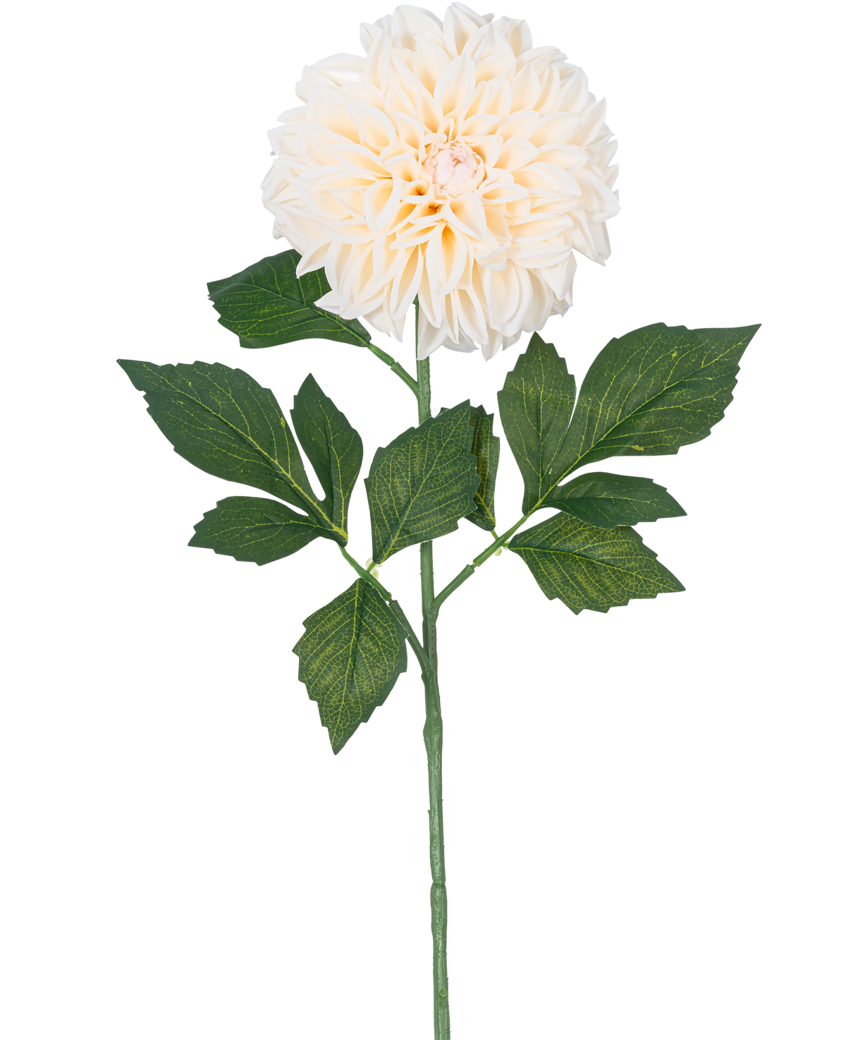 La Flor Artificial Dalia Real Touch Beige 72 cm tiene una sola dalia beige con pétalos en capas y hojas verdes sobre un tallo largo, aislada sobre un fondo blanco.