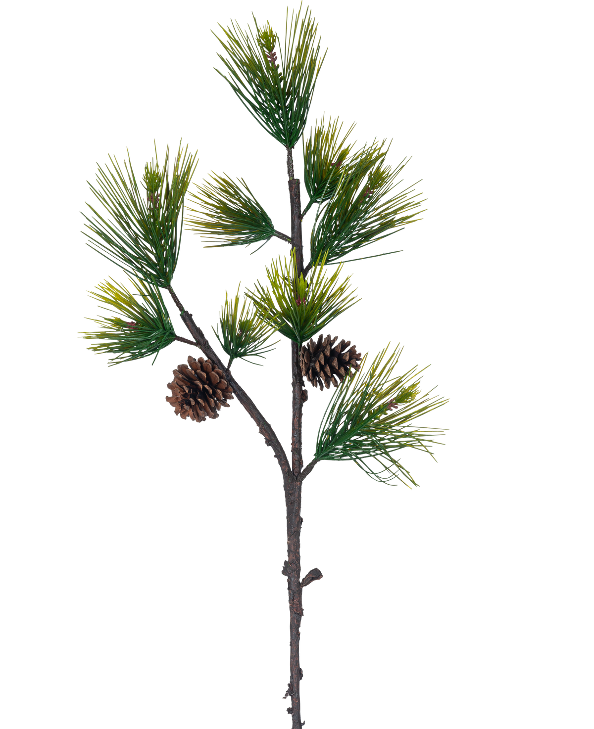 La rama artificial de pino negro de 100 cm verde tiene largas y delgadas agujas de pino verdes y dos piñas marrones sobre un fondo blanco liso.