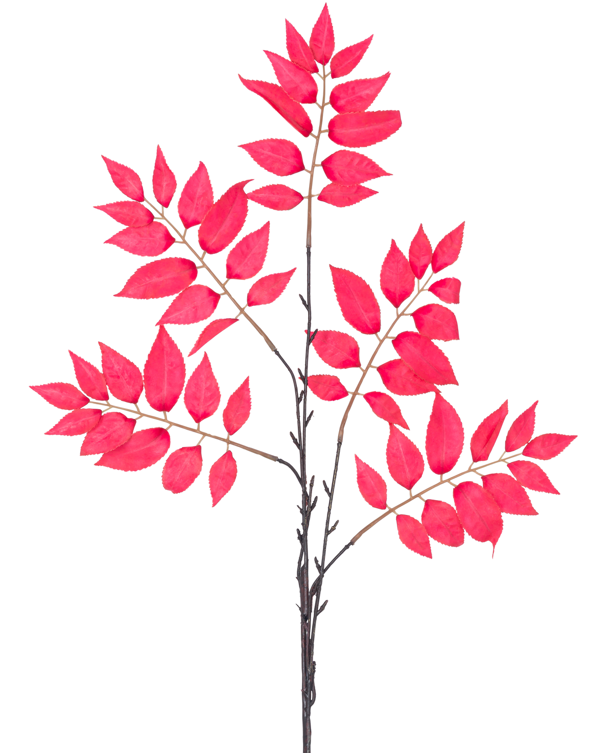 El Helecho Artificial Ramificado de 83 cm rojo tiene una serie de tallos delgados con racimos de hojas de color rojo vibrante, todas dispuestas simétricamente sobre un fondo blanco.