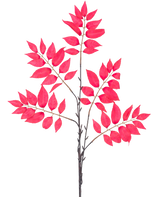 De Kunsttak Varen vertakt 83 cm rood heeft een aantal dunne stengels met clusters van levendige rode bladeren, allemaal symmetrisch gerangschikt op een witte achtergrond.