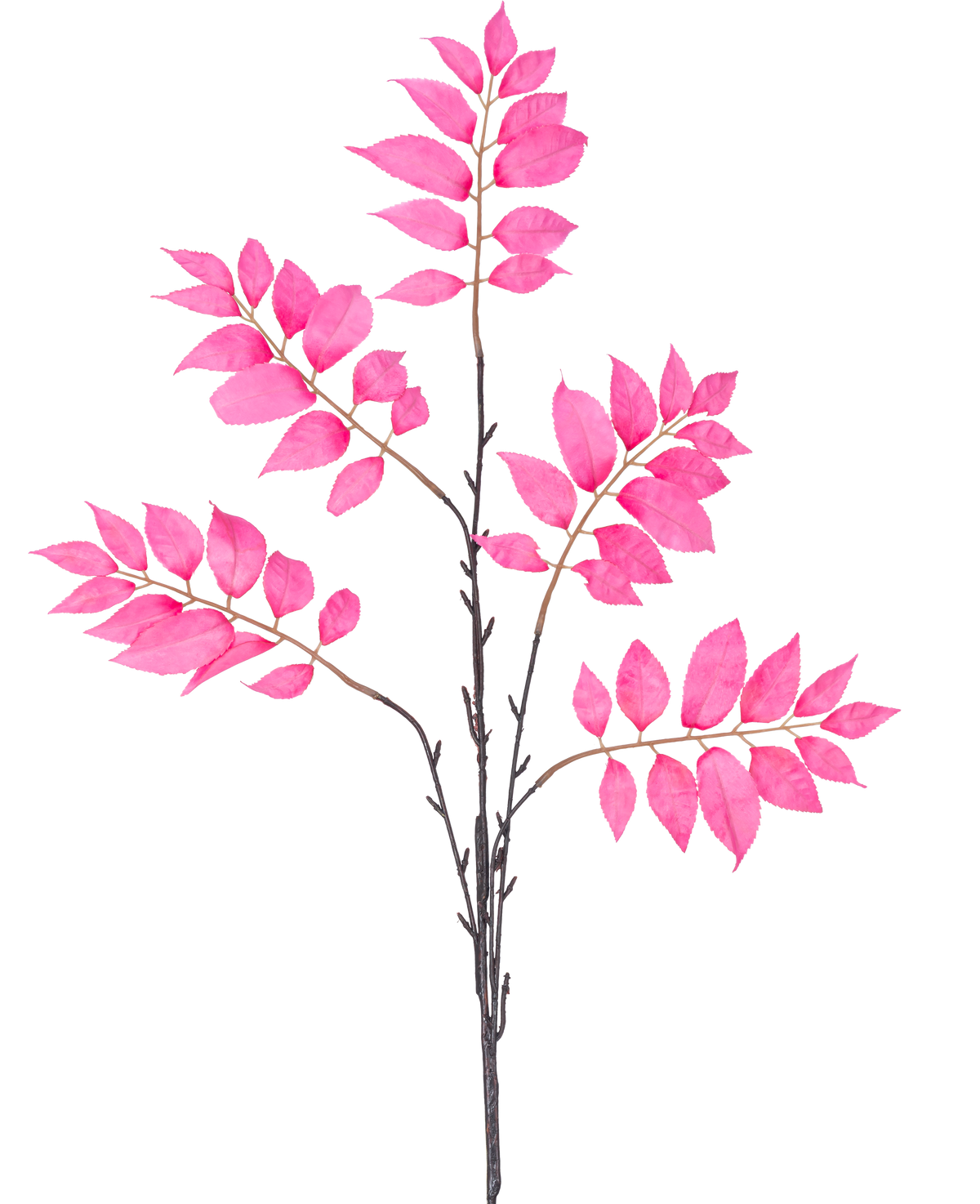 El Helecho Artificial Ramificado de 83 cm rosa tiene un único tallo de color marrón oscuro que se ramifica en varios tallos más pequeños, cada uno decorado con racimos de hojas de color rosa vibrante sobre un fondo blanco.