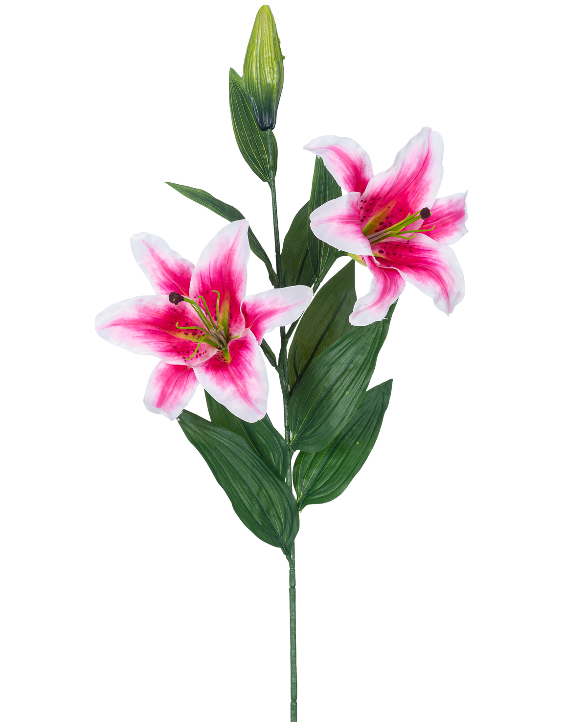 La flor de lirio artificial rosa de 85 cm tiene dos lirios en flor de color rosa y blanco, un capullo cerrado y varias hojas largas y verdes, hermosas sobre un fondo blanco.