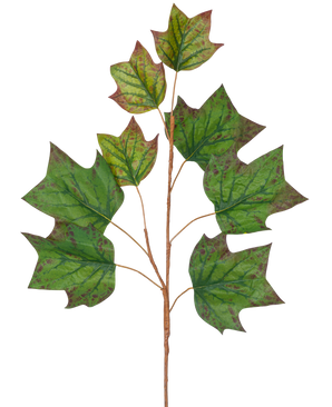 Een tak van Kunsttak Eikenblad 84 cm groen met verschillende grote, groene, eikvormige bladeren met bruinrode vlekken tegen een effen witte achtergrond.