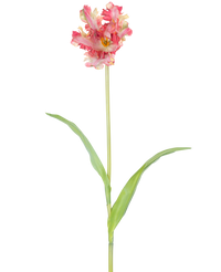 Ramo de flor artificial Periquito francés Tulipán 76 cm rojo/amarillo