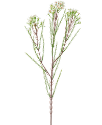 Rama artificial Flor de cera 78 cm crema