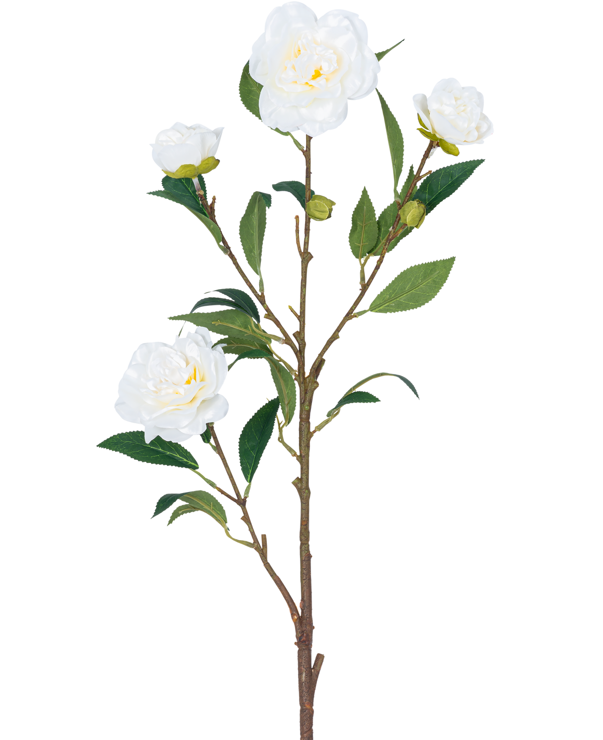 La Flor Artificial Camelia 80 cm blanca tiene un único tallo marrón con múltiples hojas verdes y varias flores de camelia blancas, algunas en flor y otras en forma de capullo, todo sobre un fondo blanco liso.