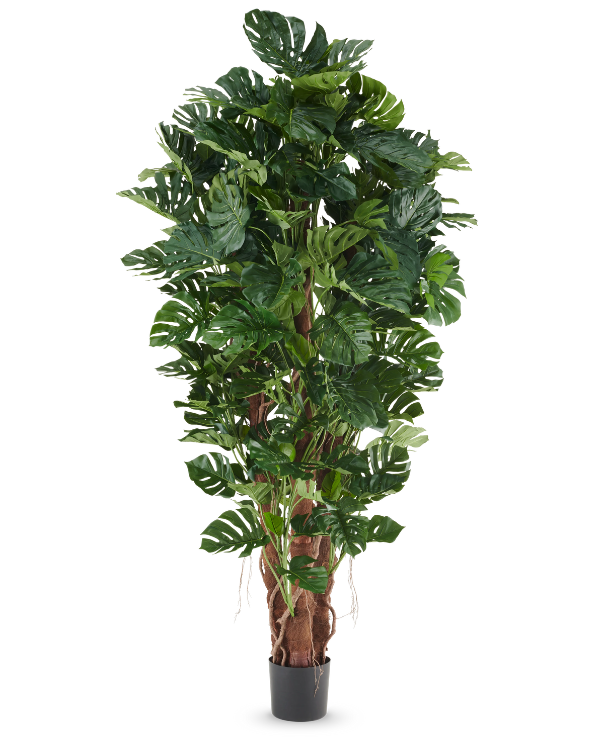 Planta artificial filodendro de 230 cm con hojas grandes de color verde brillante en una maceta negra, presentada sobre un fondo blanco liso.