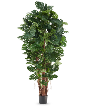 Planta artificial filodendro de 230 cm con hojas grandes de color verde brillante en una maceta negra, presentada sobre un fondo blanco liso.