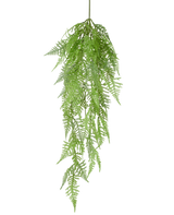 De Kunst Hangplant Aspergevaren 84 cm heeft delicate, vederachtige groene bladeren en gedetailleerde patronen, die sierlijk naar beneden hangen tegen een effen witte achtergrond.
