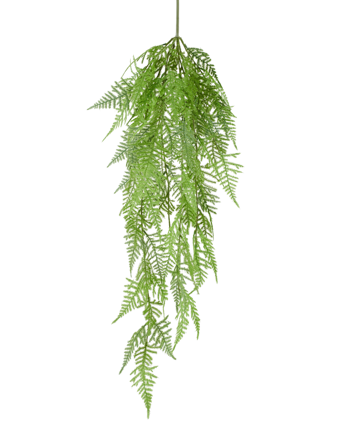 La planta colgante artificial Helecho espárrago de 84 cm tiene delicadas hojas verdes plumosas y patrones detallados que cuelgan elegantemente sobre un fondo blanco liso.
