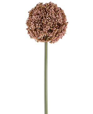 Een enkele Kunstbloem Allium van 75 cm in mauve, met een lange groene steel en een grote, ronde tros van kleine mauve knoppen, afgeschilderd op een witte achtergrond.