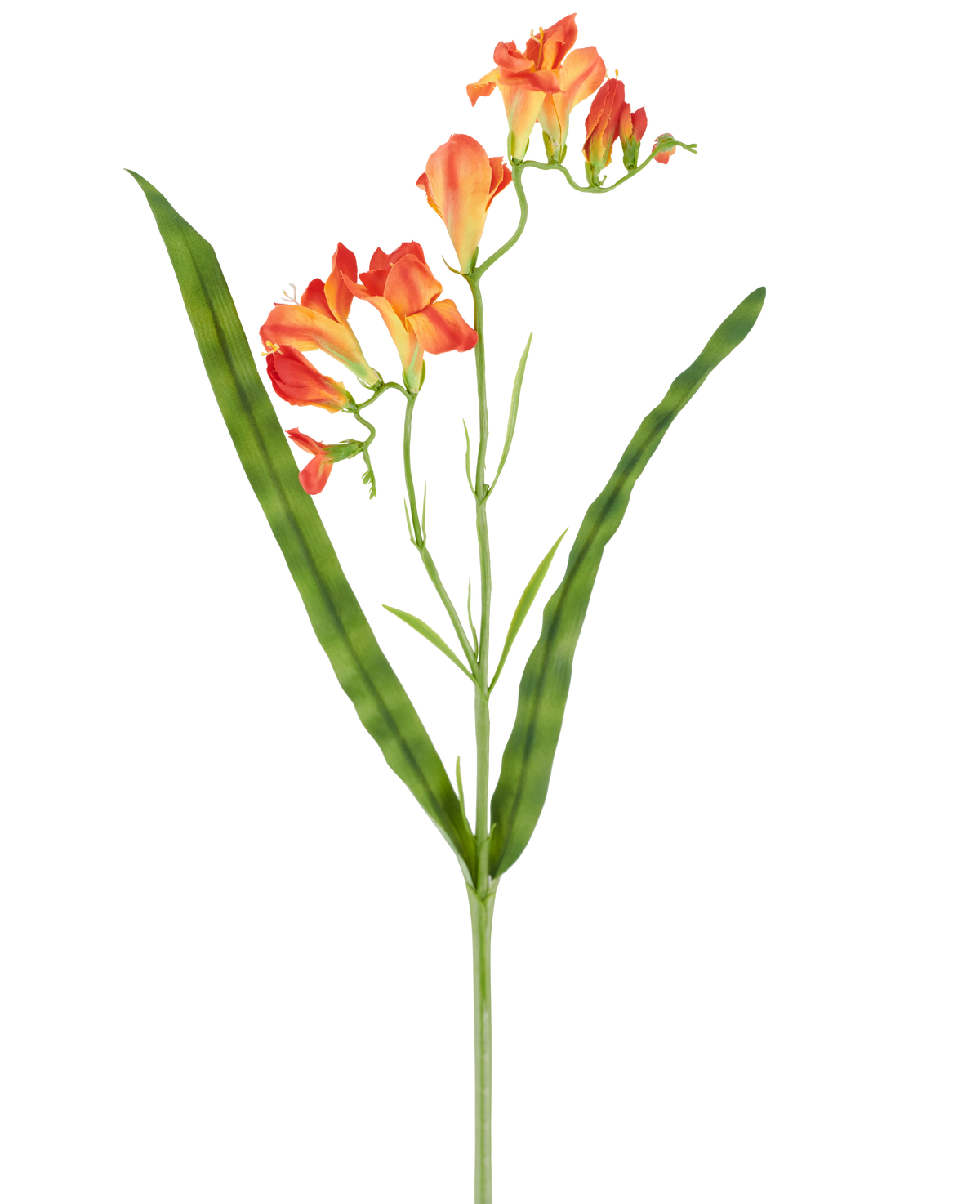 Un solo tallo de la flor artificial Fresia de 56 cm de color naranja, con hojas verdes largas y estrechas y múltiples flores de fresia naranja en la parte superior, fotografiadas sobre un fondo blanco.