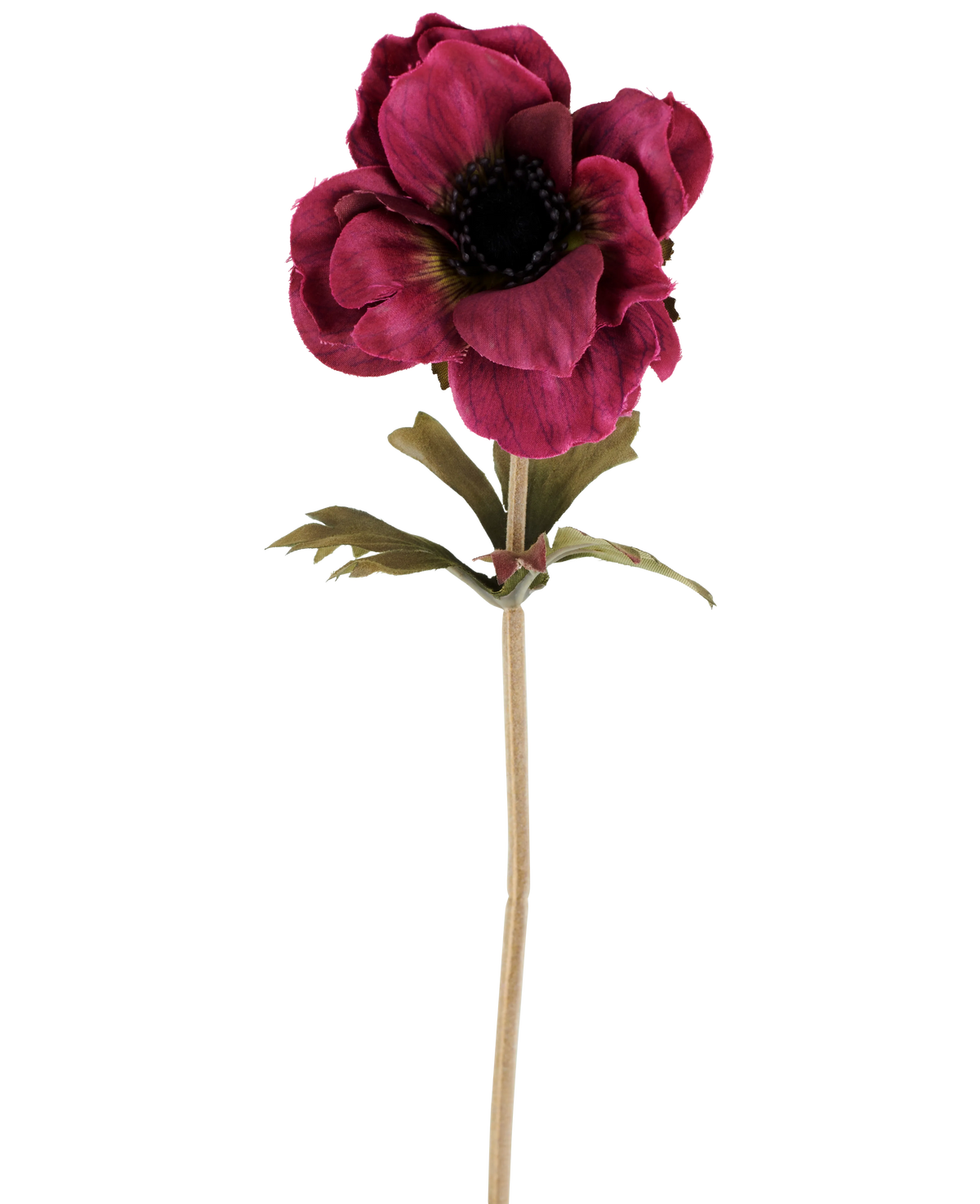 Una única flor de anémona artificial de 38 cm en color rojo burdeos, con pétalos en capas de color rosa oscuro, un corazón oscuro, hojas verdes y un tallo largo y delgado, representada sobre un fondo blanco liso.