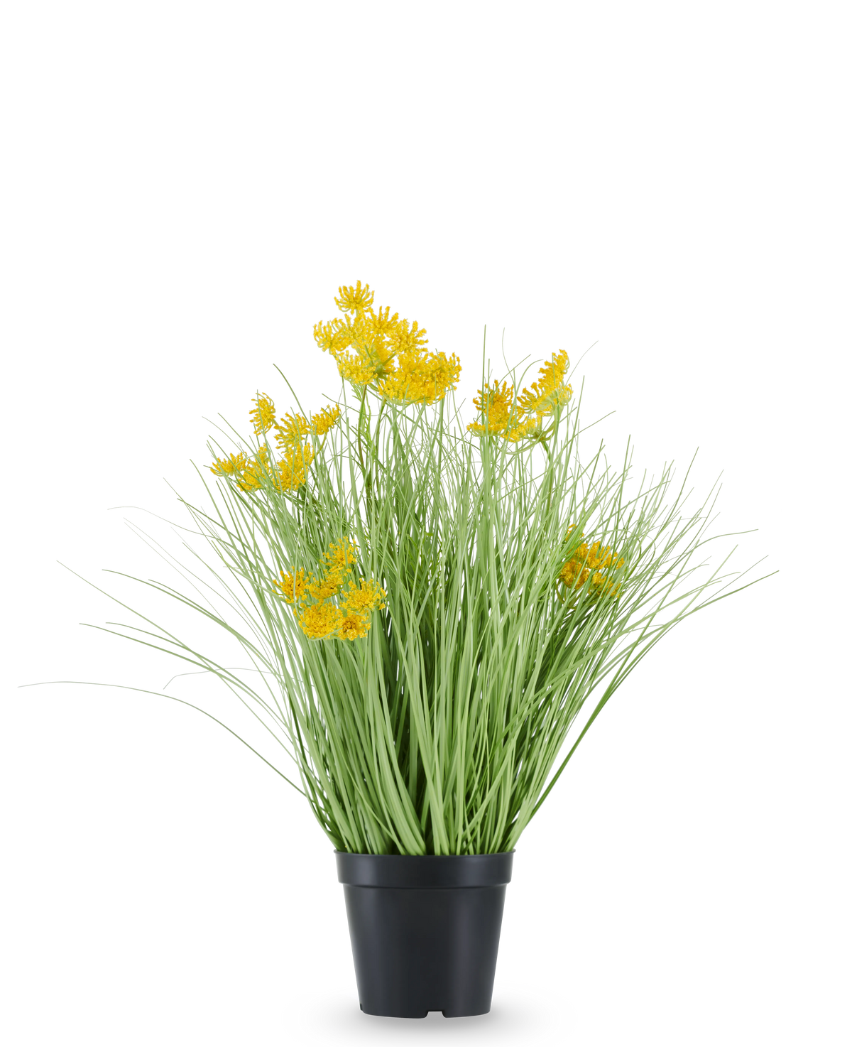 La hierba de cebolla con flores de raíz de césped artificial está alojada en una maceta de plástico negro, con hojas largas y delgadas parecidas a la hierba y racimos de pequeñas flores de color amarillo brillante en las puntas. La planta artificial tiene 50 cm de altura, es ignífuga y se alza sobre un fondo blanco liso.