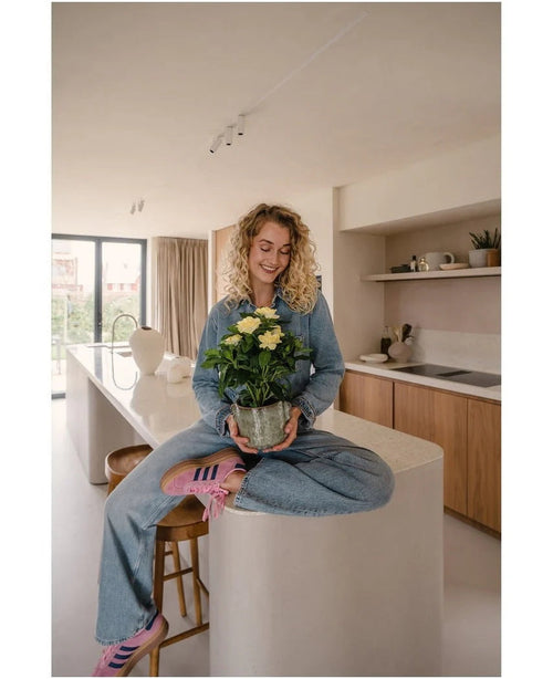 Una mujer con cabello rubio y rizado, vestida con jeans y calcetines a rayas, está sentada sonriendo en la encimera de la cocina mientras sostiene la planta Artificial Gardenia UV de 39 cm, una planta en maceta con flores amarillas. Al fondo se puede ver una cocina moderna con armarios y estanterías de madera.
