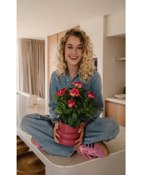 Una mujer sonriente con cabello rubio rizado está sentada con las piernas cruzadas en la encimera de la cocina y sostiene una planta de Gardenia Artificial UV de 39 cm en color fucsia. Lleva un traje de mezclilla y zapatillas rosas.