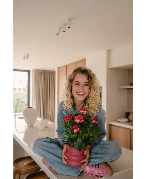 Una mujer sonriente con cabello rubio rizado está sentada con las piernas cruzadas sobre una encimera moderna y luminosa, sosteniendo la planta fucsia Artificial Gardenia UV de 39 cm, una planta en maceta rosa con flores rojas vibrantes. Lleva jeans, una camisa azul y zapatos rosas.