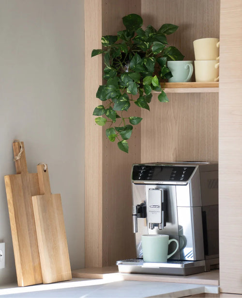 Sobre el mostrador hay una cafetera plateada con una taza verde. Encima, sobre un estante de madera, se apilan tazas de colores pastel y cuelga una 'Art hanging gold vine 60 cm UV'. Justo al lado hay tablas de cortar de madera apoyadas contra la pared.