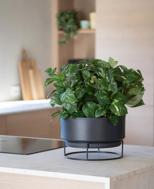 Una planta artificial 'Golden Vine' en una maceta de 40 cm con hojas de color verde brillante se encuentra sobre un moderno soporte negro sobre una encimera de color claro, con utensilios de cocina borrosos en el fondo.
