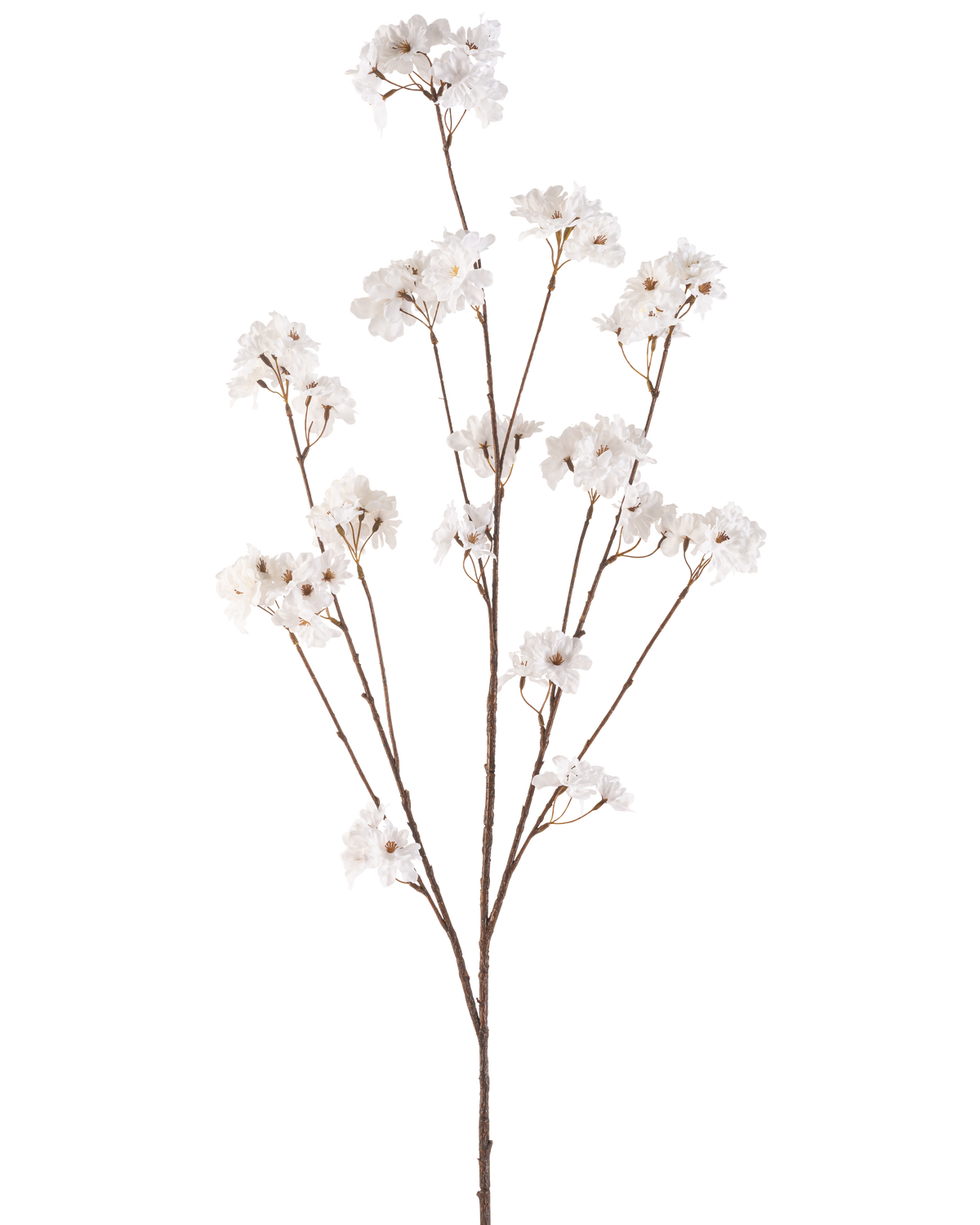 La flor artificial de cerezo en flor color crema de 130 cm tiene un único tallo marrón que se ramifica en varios tallos finos, cada uno de ellos decorado con racimos de pequeñas y delicadas flores de cerezo color crema sobre un fondo blanco liso.