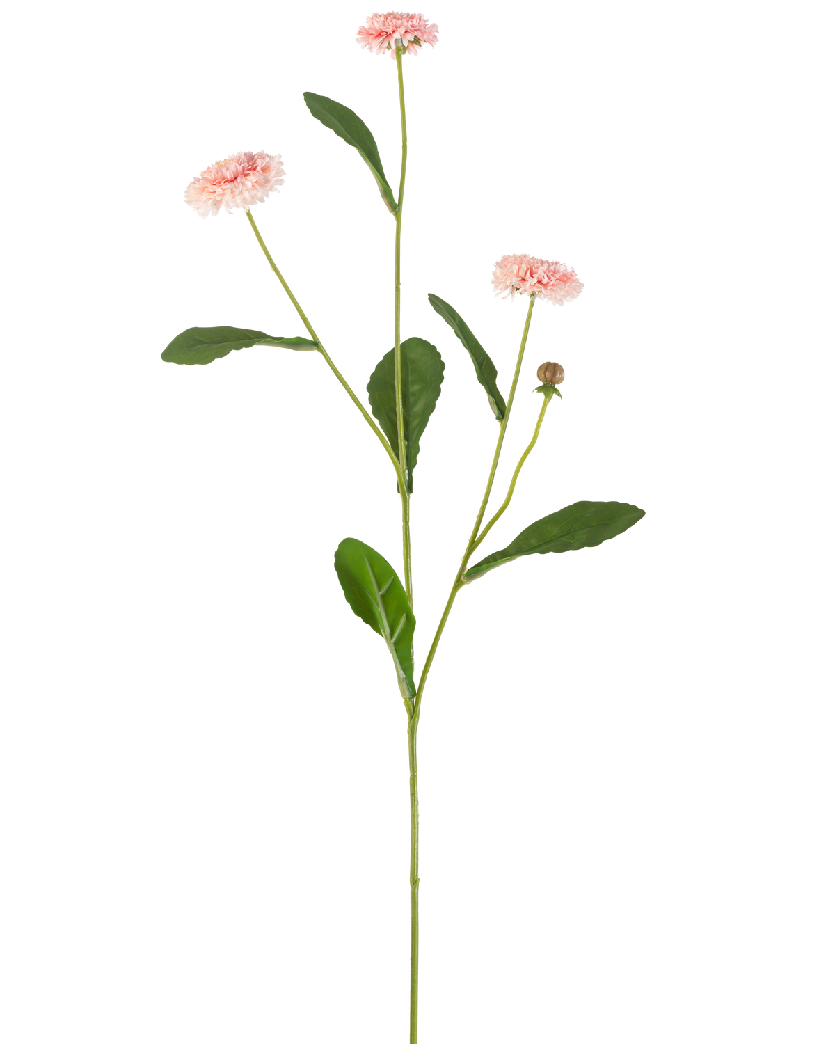 La flor artificial Estrella de verano de 57 cm rosa tiene un largo tallo verde con tres flores rosas en forma de margaritas y varias hojas verdes, sobre un fondo blanco liso.