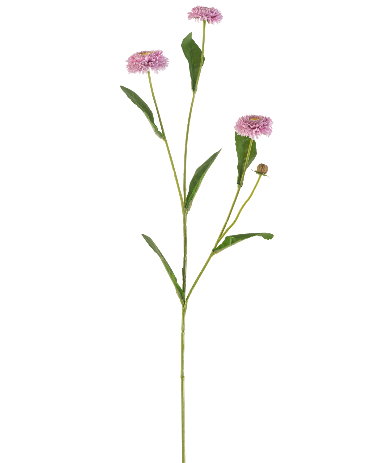 La Flor Artificial Aster Verano 57 cm malva tiene un tallo verde largo y delgado con tres flores malvas que parecen margaritas y hojas verdes alargadas que se ramifican, todo ello sobre un fondo blanco liso.