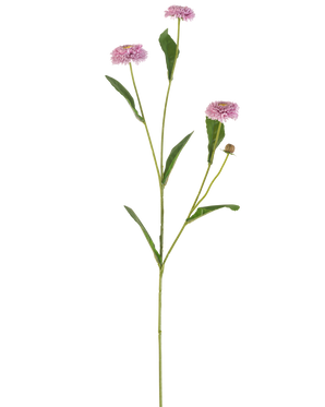 La Flor Artificial Aster Verano 57 cm malva tiene un tallo verde largo y delgado con tres flores malvas que parecen margaritas y hojas verdes alargadas que se ramifican, todo ello sobre un fondo blanco liso.