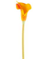 La Flor Artificial Cala 64 cm naranja tiene una sola cala naranja con un tallo largo y delgado, aislada sobre un fondo blanco.