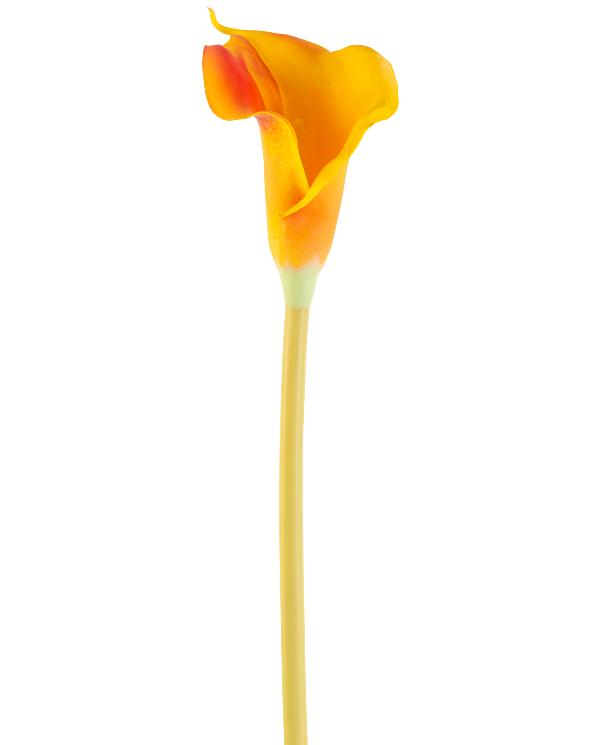 La Flor Artificial Cala 64 cm naranja tiene una sola cala naranja con un tallo largo y delgado, aislada sobre un fondo blanco.